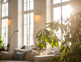 Lumière naturelle dans l'habitat: effets bénéfiques sur l'humeur et la vitalité