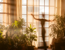 Lumière naturelle et santé : optimiser l'éclairage de votre intérieur