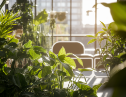 Purifier l'air de votre nouvelle maison pour un habitat plus sain