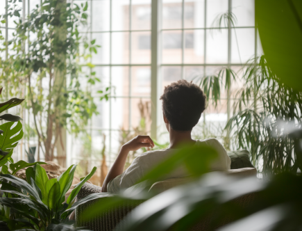 Espaces verts intérieurs : leur influence sur la pression artérielle et l'anxiété