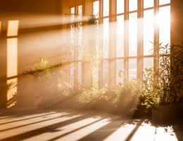 Lumière naturelle et santé : optimiser l'éclairage de votre intérieur