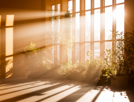 Lumière naturelle et santé : optimiser l'éclairage de votre intérieur