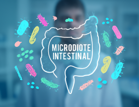 Microbiote intestinal : signes d'un déséquilibre à ne pas ignorer